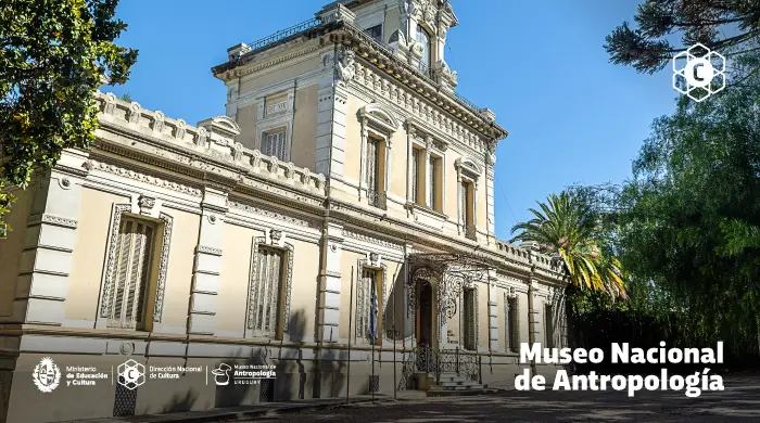 Museo Nacional de Antropología - imágen de show