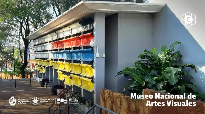 Museo de Artes Visuales - imágen de show